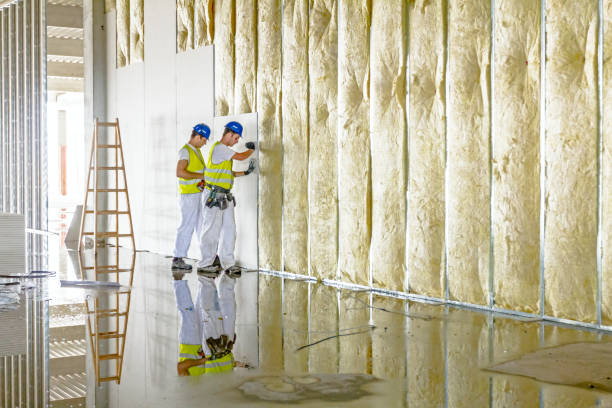 Best Insulation Installation Services in Braddock Heights, MD